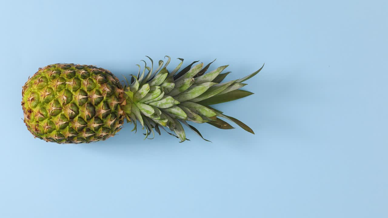 Fresh pineapple rolling in place on blue theme. Stop motion