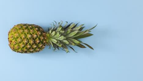 fresh pineapple rolling in place on blue theme. stop motion