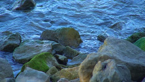 waves of sea crashing into mossy stone, close up