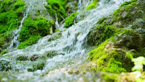close view of waterfall flowing over rocks in green forest with lush natural scenery, macro