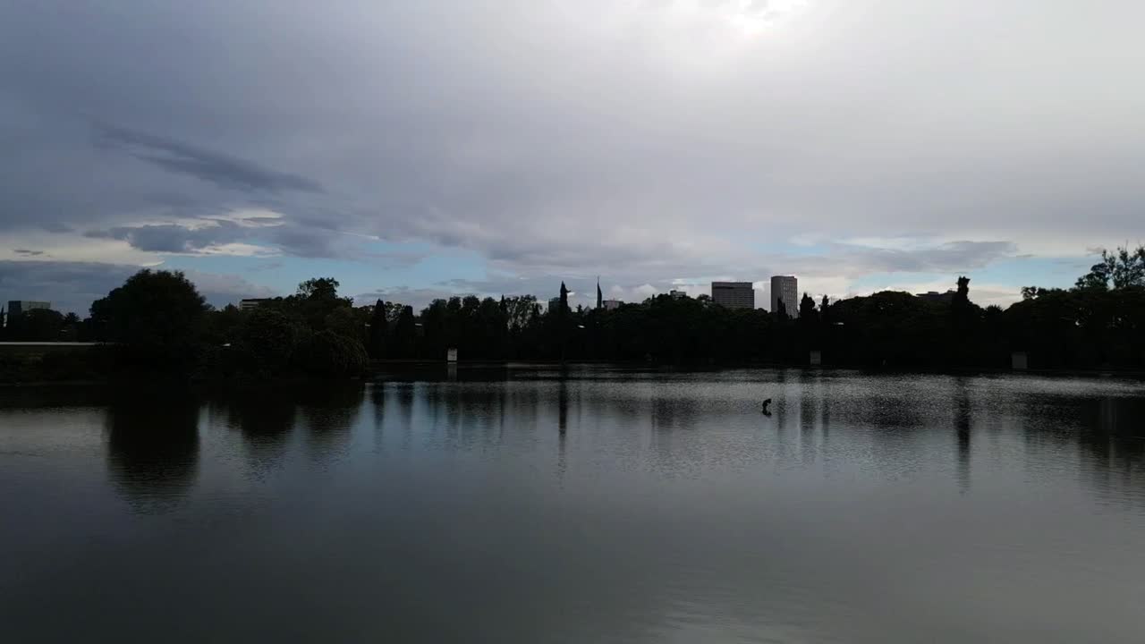 도시와 숲의 공중 촬영