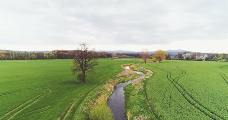 Bergfluss-Im-Grünen-Wald-Luftaufnahmen-1