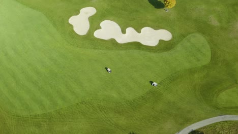 aerial tracking shot of golf carts driving on fairway playing golf in fall