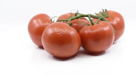 cinco tomates rojos unidos con vid girando sobre una plataforma blanca