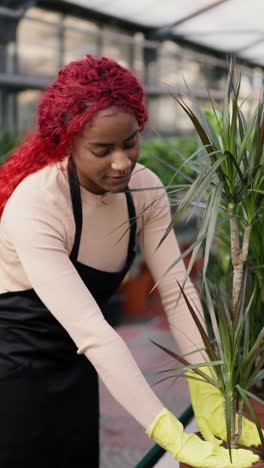 vrouw aan het tuinieren in een kas