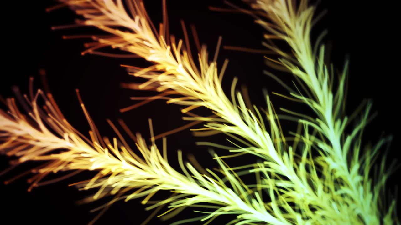 animación de fondo floral abstracta