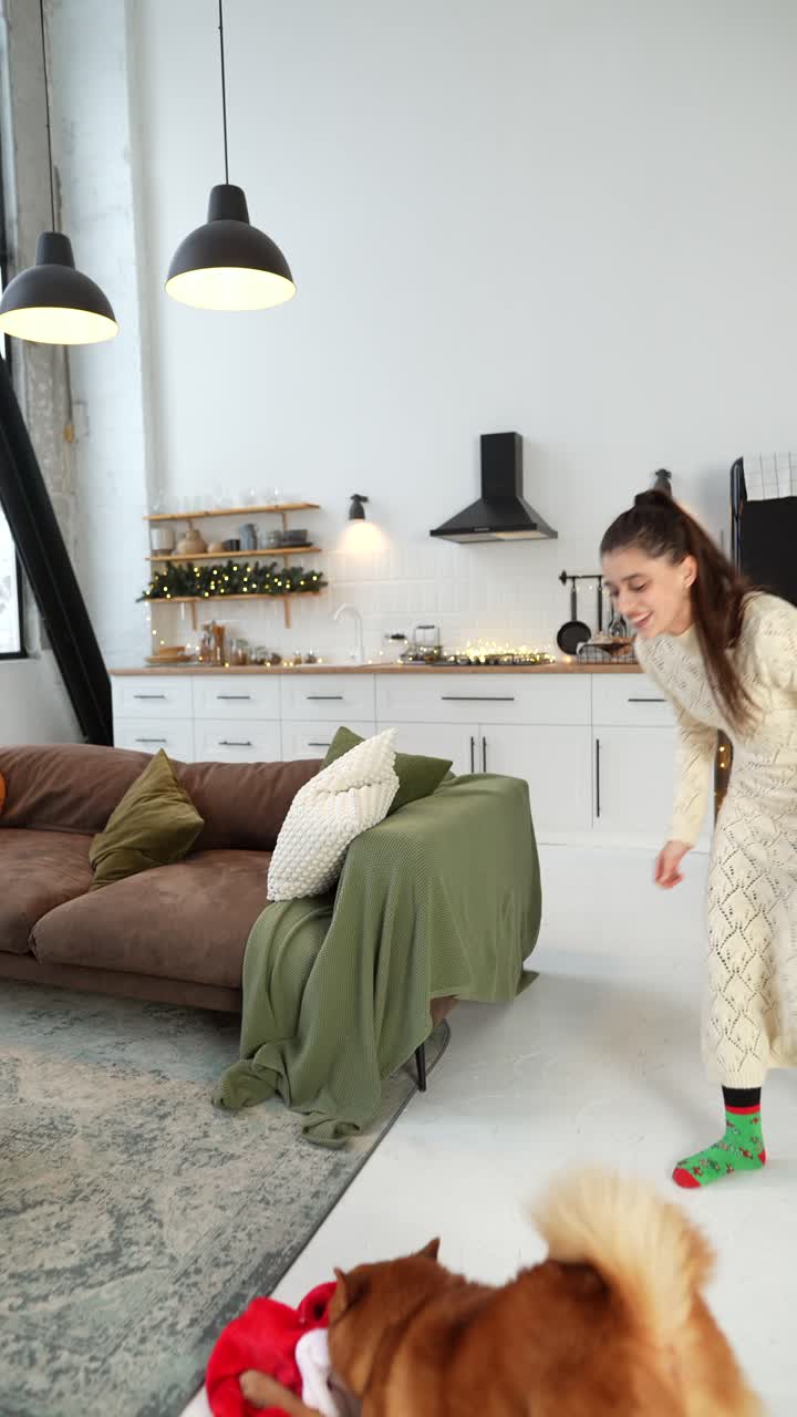 Köpek ve Kadınla Evde Yılbaşı Neşesi