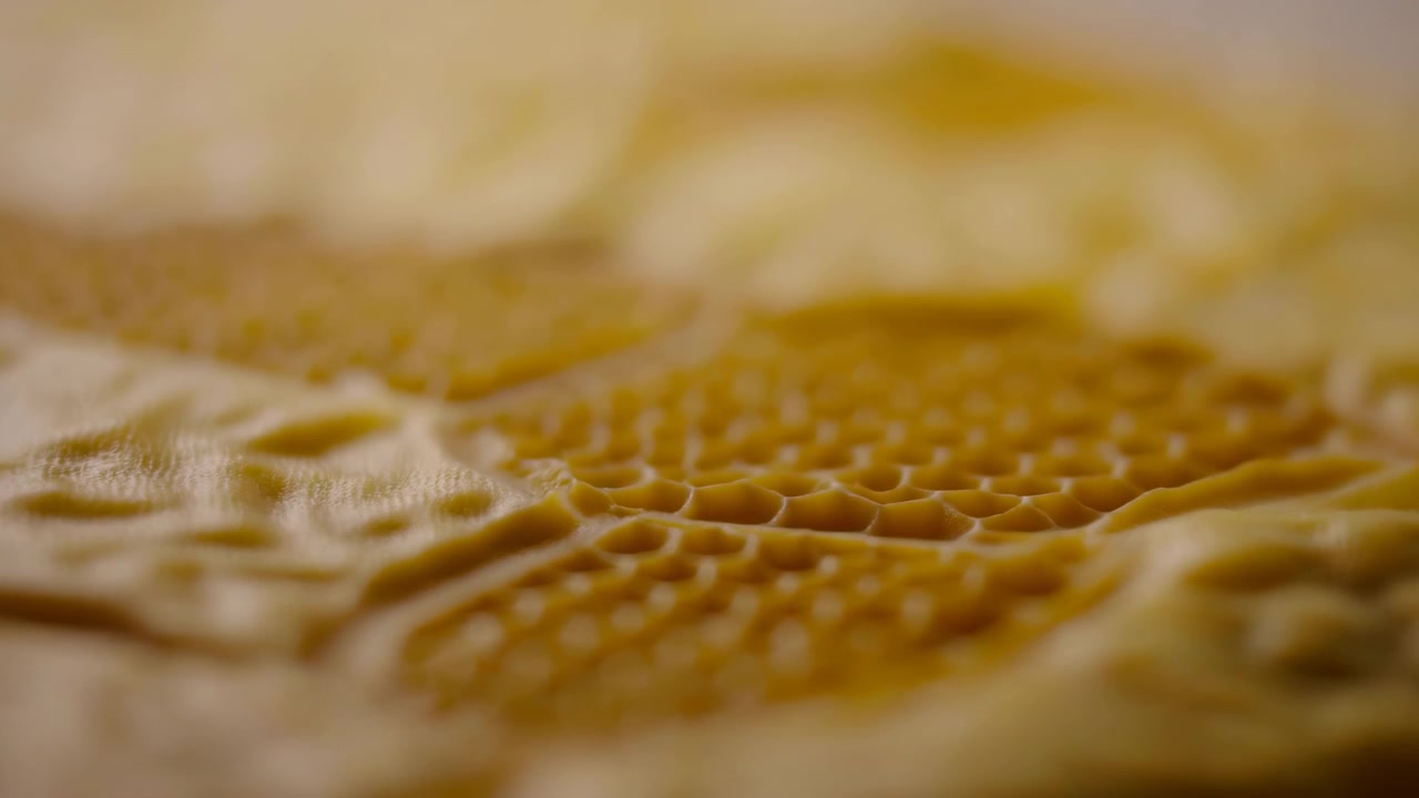 Shallow focus movement across close textured surface in warm golden beige tones, with soft blur, luminous highlights, subtle shadows, and tactile organic detail throughout, with texture, focus, macro