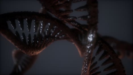 loop double helical structure of dna strand close-up animation