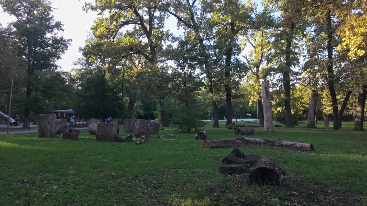 Fallen trees and chopped logs after the summer storm in the Erzsébet Park in Szeged, Hungary