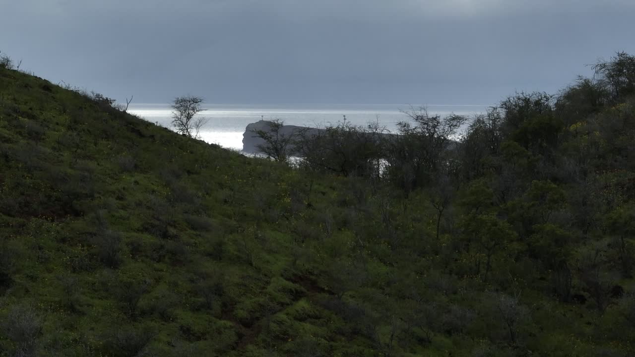 Cinematic Reveal Of Molokini Crater, Aerial Crane Shot Slowly Ascending Over Pu'u Ola'i Summit In The Southern Coast Of Maui