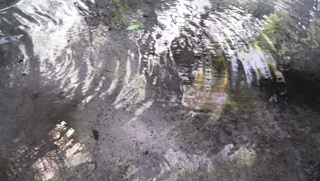 ripple and reflection on puddle of water after the rain in fiji island