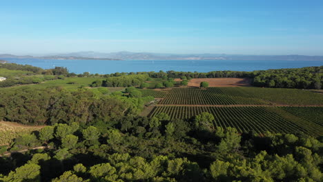 panoramic view of rural landscape in porquerolles aerial vineyards sunny day