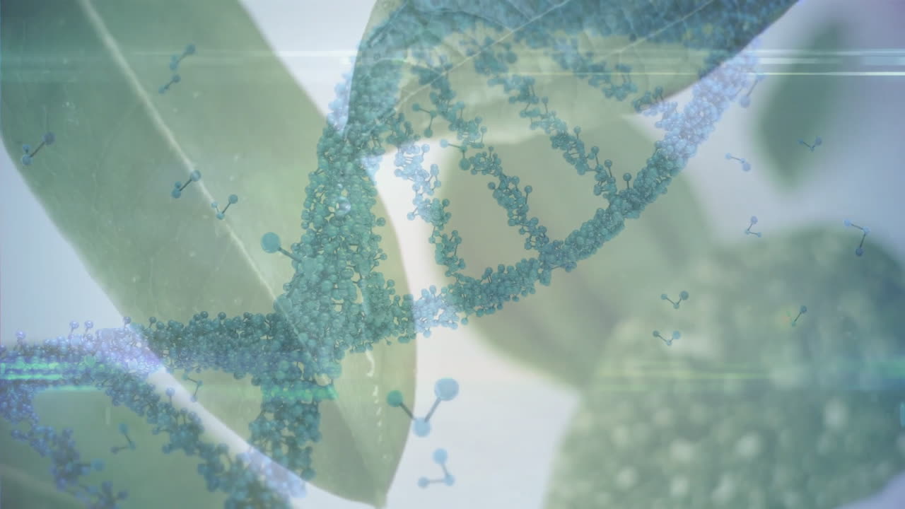 DNA strand and molecular structures with animation over green leaves for genetic research