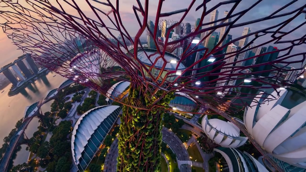 Luftaufnahme des Supertree Grove und der Skyline von Singapur bei Sonnenuntergang