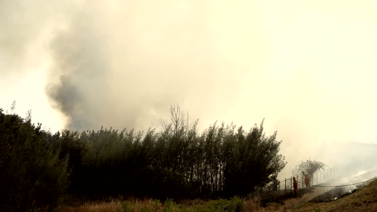 소방관 들 은 숲 에서 불 을 끄기 위해 노력 한다