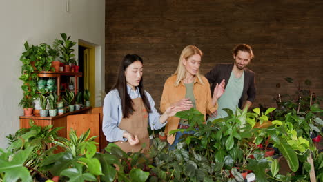 clientes mirando plantas en una tienda de plantas