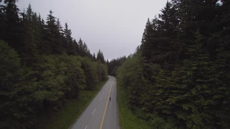 Drone-4K-Footage-following-a-cyclist-on-Mount-Seymour-biking-on-a-narrow-road-in-forest-mountain-for-physical-fitness-and-health