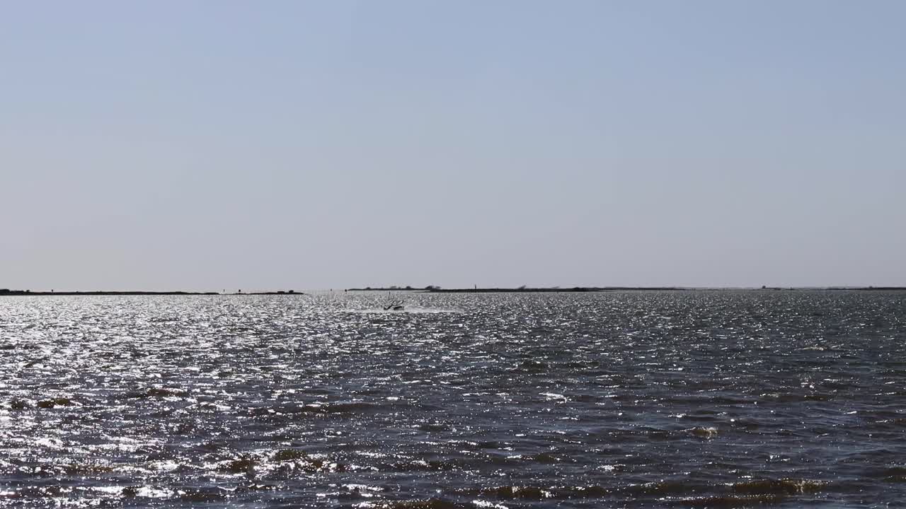 근처 코퍼스 크리스티 텍사스에서 카이트 보딩 동안 점프 silhouetted 남자