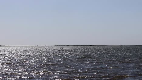 silhouetted man jumping while kite boarding in near corpus christi texas