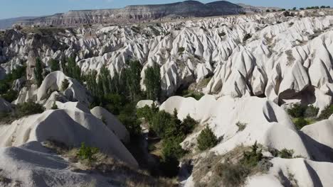 mujer turista con un vestido de pie frente al valle de las rosas