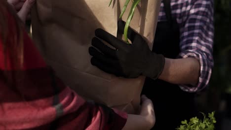 People-selling-organic-food-in-a-local-harvest-market.-Cropped-footage-of-hands-of-customer-giving-money---american-dollar-note-to-a-seller-and-take-the-paper-bag-with-grocery