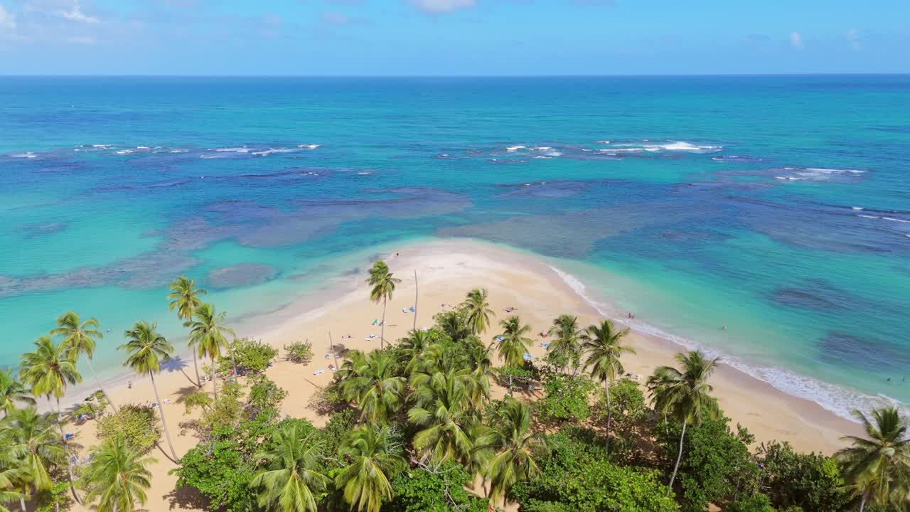 Resting people at sandy beach of PLAYA PUNTA POPY with palm trees during sunny day. Cor reef and turquoise Caribbean Sea, Dominican Republic. Aerial backwards wide shot.
