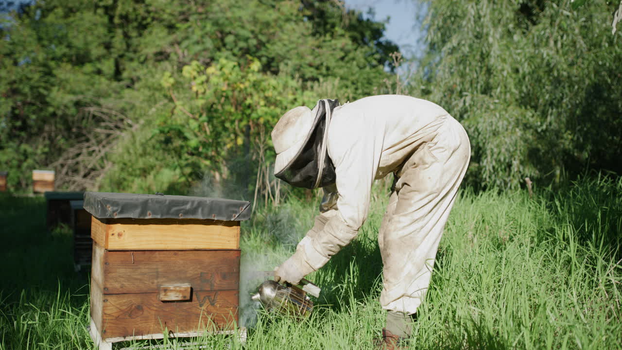 인식 할 수 없는 남성 양봉가 가 일 하고 있다