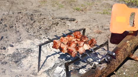 восхитительное мясо на гриле на шипах