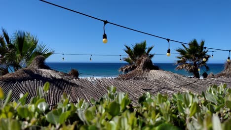 resort frente al mar con palmeras meciéndose en el viento y el océano en el fondo