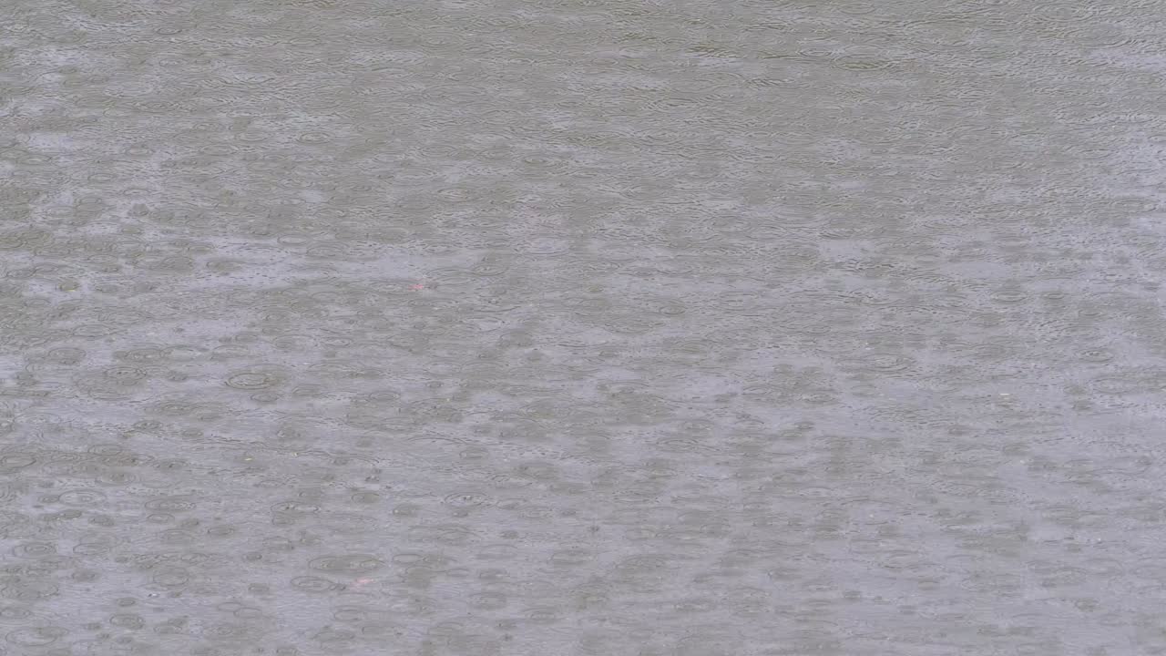 gotas de lluvia densas cayendo sobre el agua, imágenes de 4k.