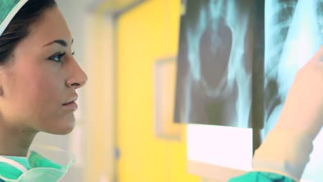 female surgeon looking at xrays