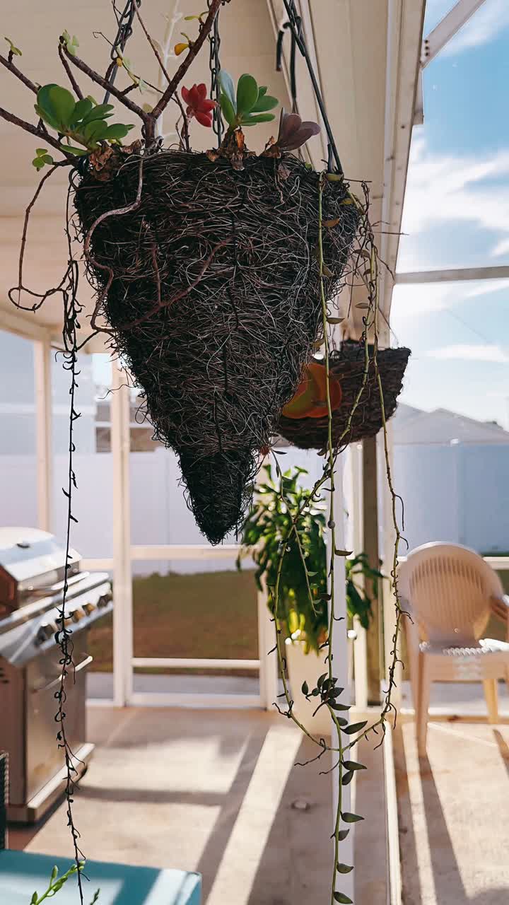 подвесный плантатор с суккулентами на террасе