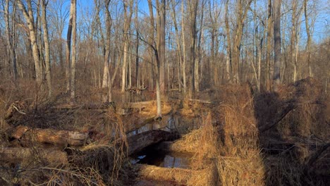 Wetlands-in-northern-Appalachia-during-an-early-spring-sunny-day-after-recent-snow-melt