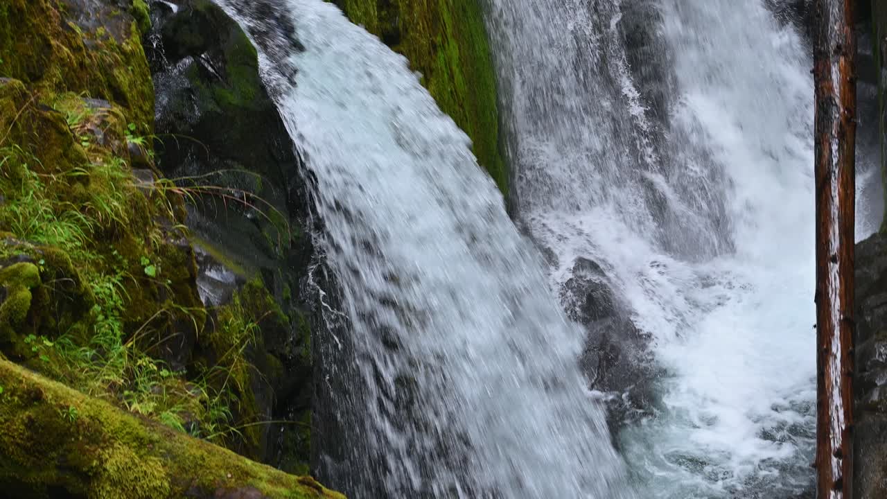 Water plunges over jagged mossy rocks in a split waterfall deep within Olympic National Park’s forested wilderness