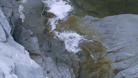 salmón coho salta frenéticamente, lucha contra una pequeña cascada para desovar, estado de washington