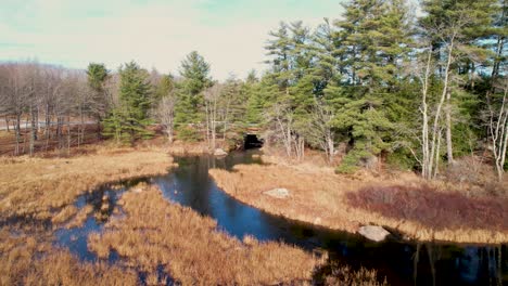 evergreens on a marsh and river near a maple syrup sugar house with a red roof and sunny sky