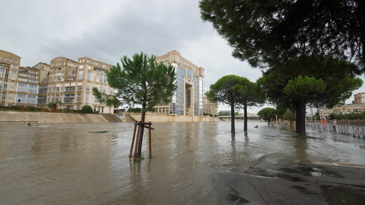 calle inundada de árboles montpellier antigone le lez río francia