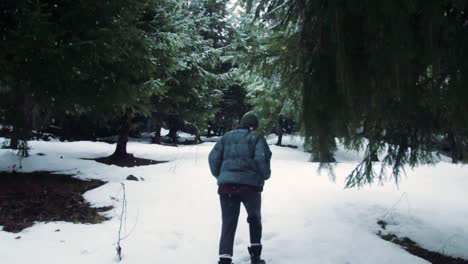 Back-view-of-stylish-young-adult-woman-walks-in-snowy-forest-during-snowfall