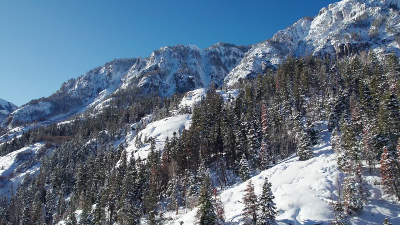 Drohnenluftaufnahme von schneebedeckten Berggipfeln mit Bäumen