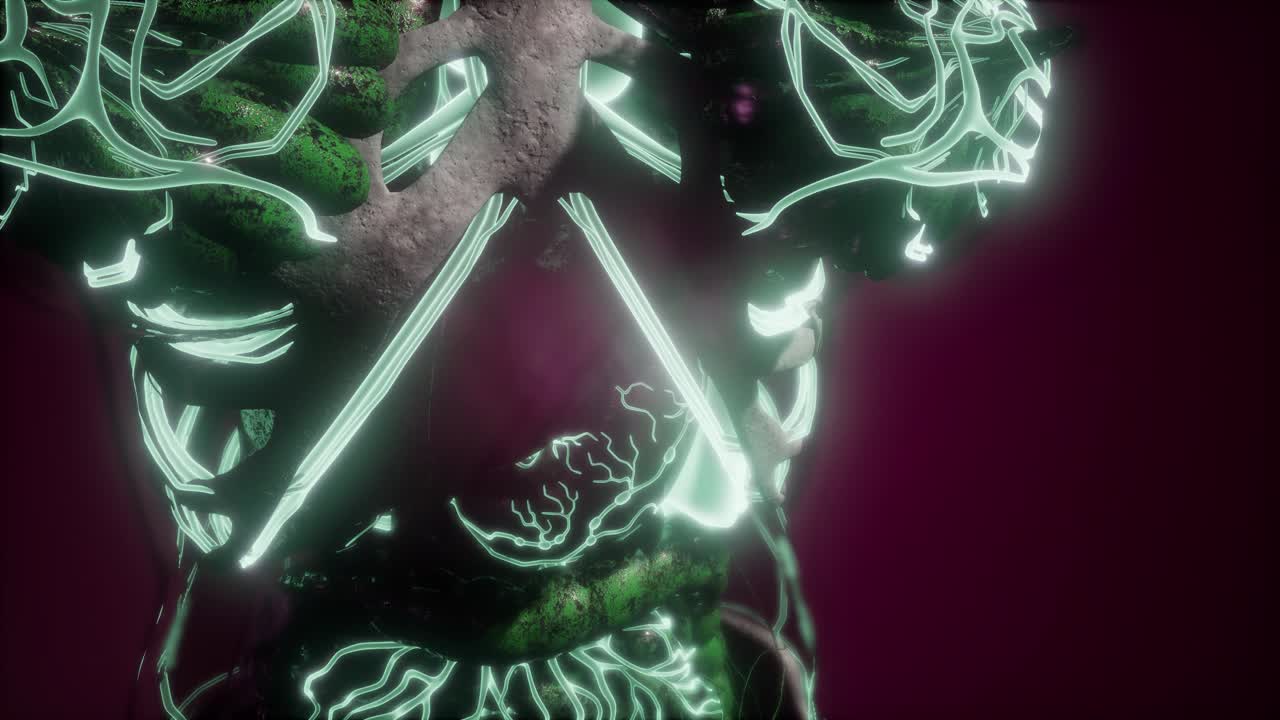 빛나는 혈관으로 된 인체