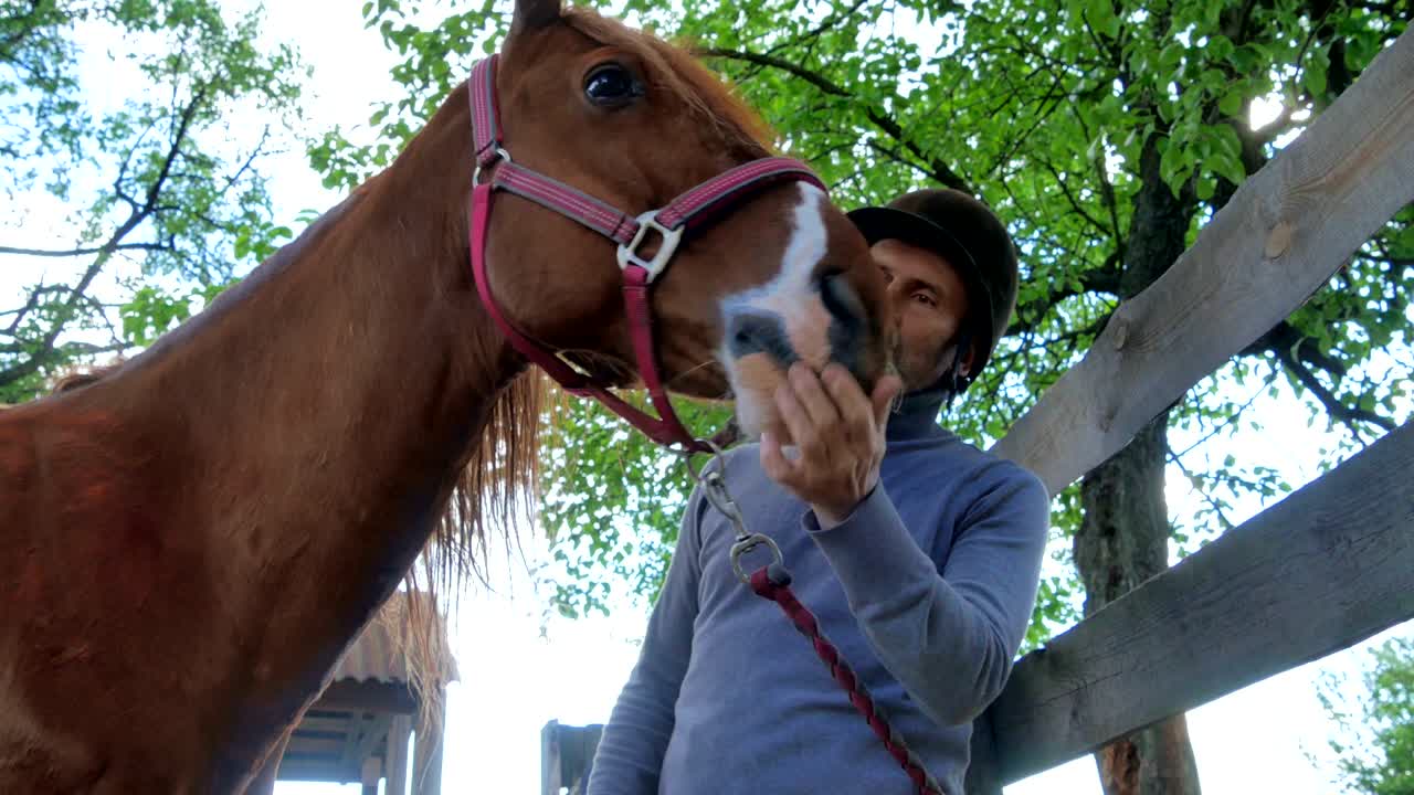 el jinete está peinando la melena de un caballo