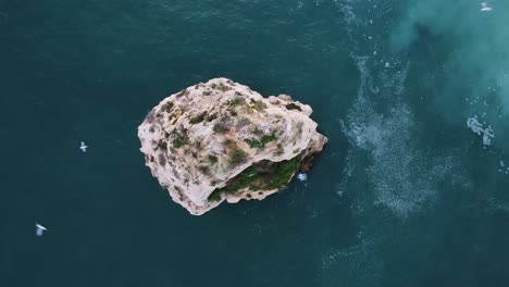 Seabirds-flying-over-the-nest-on-top-of-a-cliff-island-in-Algarve,-south-of-Portugal