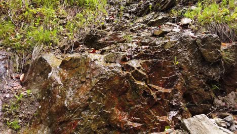 waterfall in mountains forest falling to the broken tree