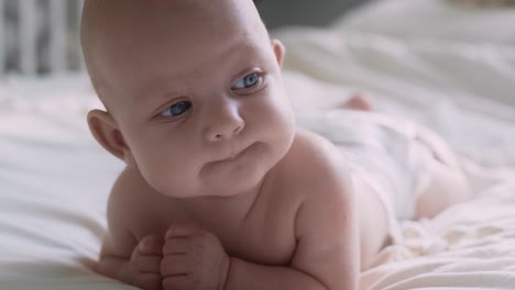 front view of newborn baby lying on bed on front and looking around