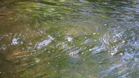 Schwenk-Auf-Bachwasser,-Das-Stromabwärts-Fließt