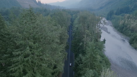 Imágenes-Aéreas-Que-Vuelan-A-Través-De-Los-árboles-De-Hoja-Perenne-En-La-Mañana-Que-Revelan-Un-Camino-Que-Serpentea-A-Través-Del-Bosque