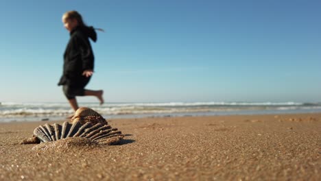 Concha-De-Mar-En-La-Playa-De-Arena-Y-Niña-O-Niño-Corriendo-En-El-Fondo,-Vista-De-Cerca