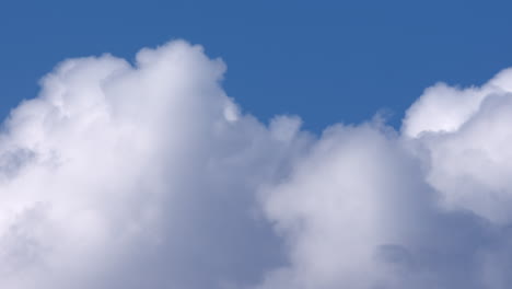 Weiße-Geschwollene-Kumuluswolken-Am-Blauen-Himmel---Low-Angle-Shot