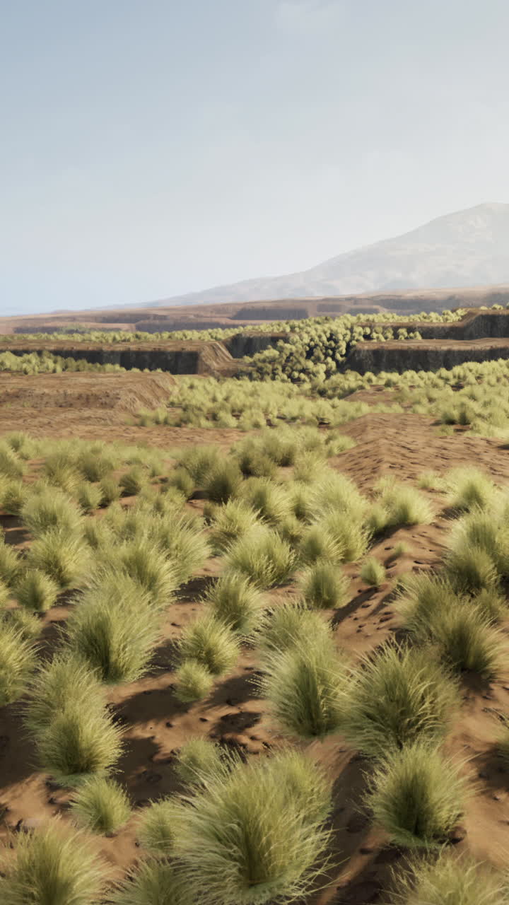 paisaje desértico con hierba escasa